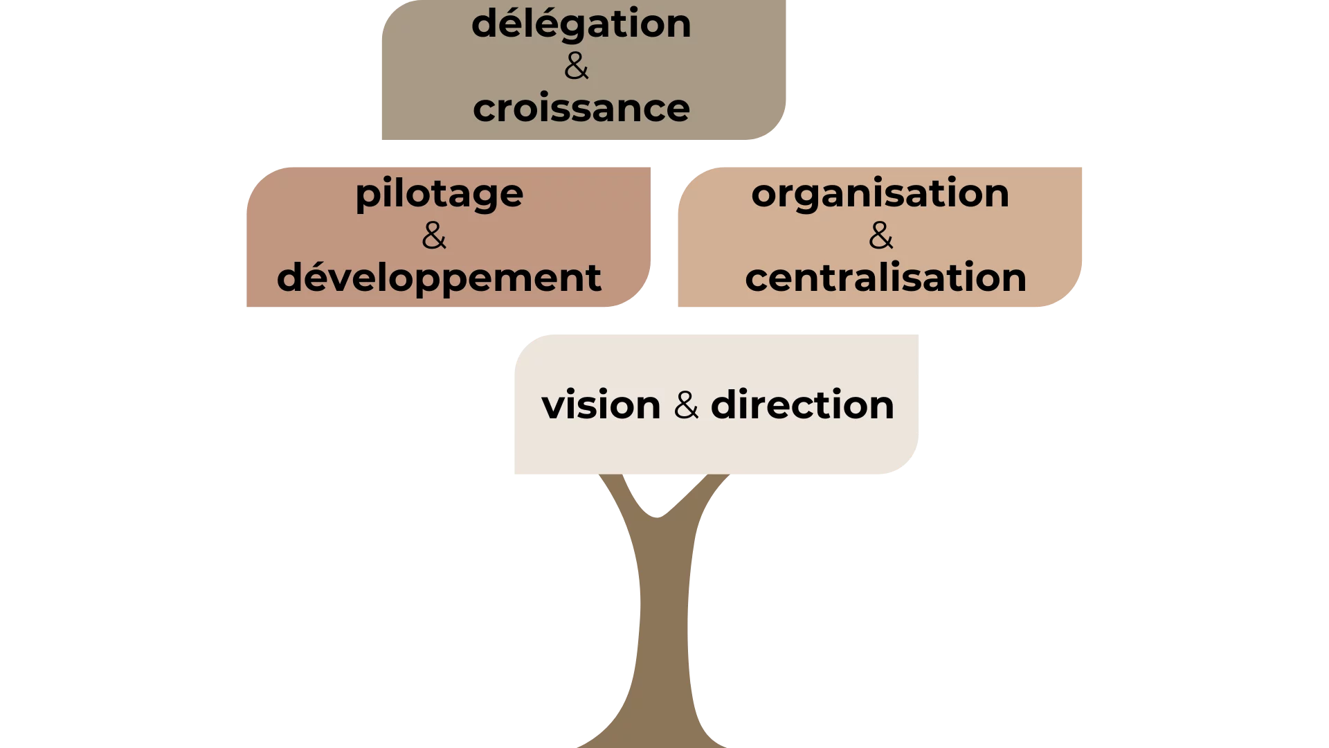 écosystème structure et organisation solopreneur