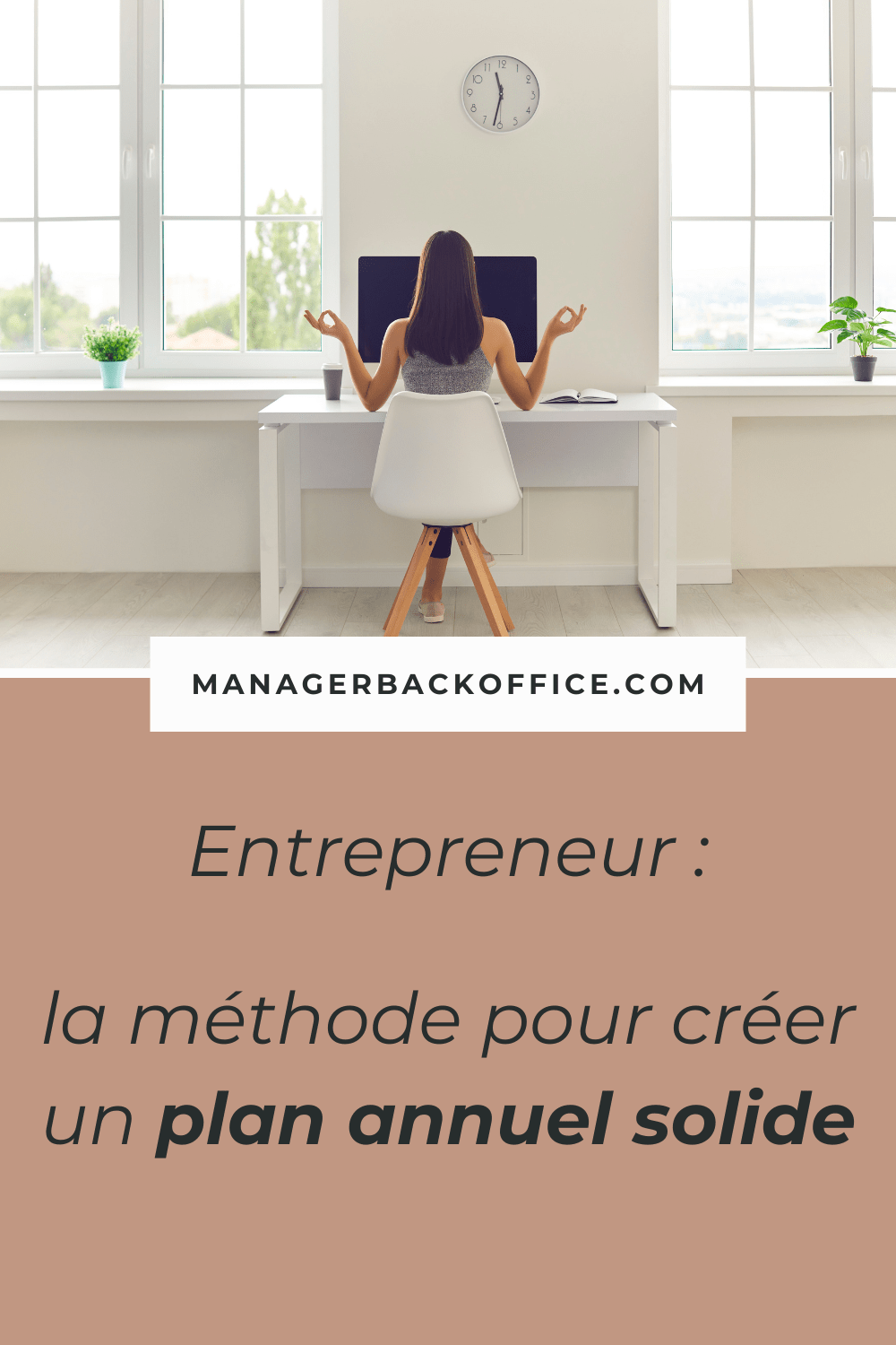 plan annuel entrepreneur pour une année solide